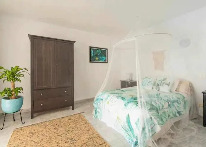 فيلة Gedel Ma Zen