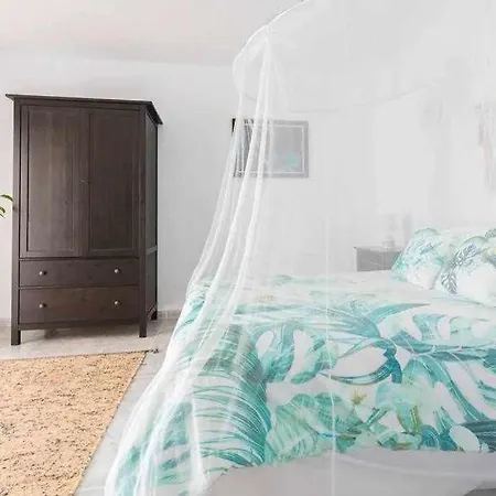 Gedel Ma Zen فيلة بوريس دي أبونا