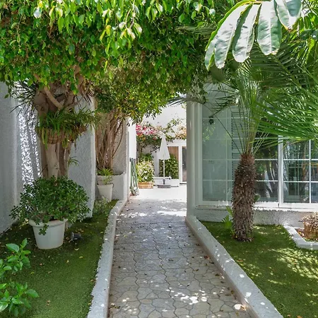 فيلة Gedel Ma Zen